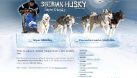 Štěpán Krkoška - Siberian Husky